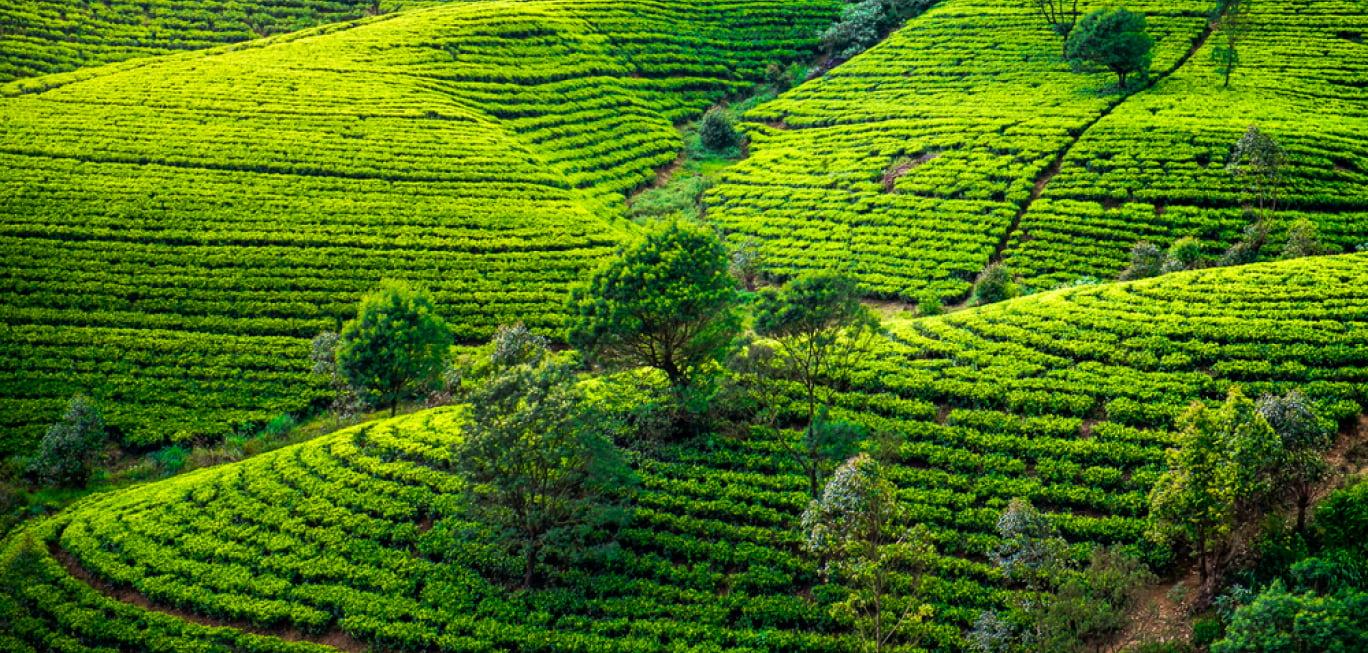 InSpec by BV - amfori Business Environmental Performance Initiative (BEPI) InSpec by BV - amfori Business Environmental Performance Initiative (BEPI)